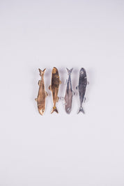 Sardine Earrings - Bronze