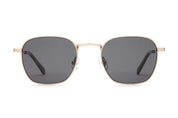 The Groove Pilot - Polarized Gold