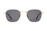 The Groove Pilot - Polarized Gold