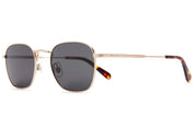 The Groove Pilot - Polarized Gold