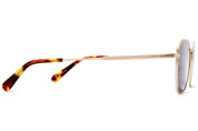 The Groove Pilot - Polarized Gold