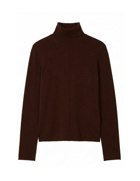 Lula Sheer Turtleneck